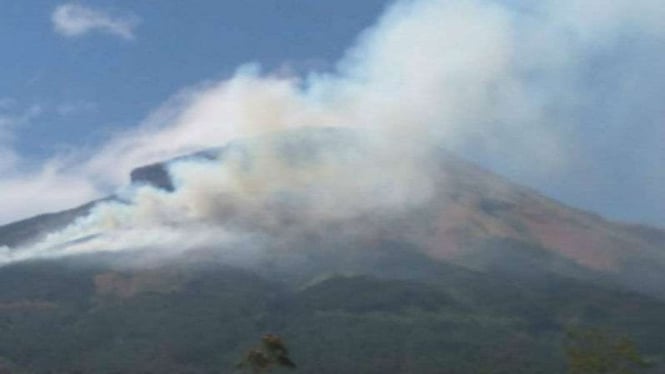Kawasan hutan di Gunung Sindoro terbakar