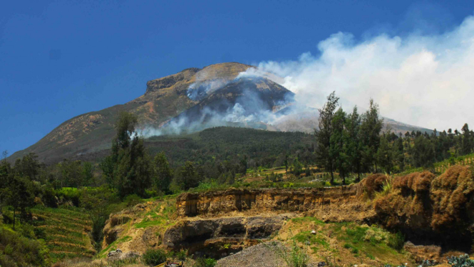 Kebakaran hutan di Gunung Sindoro, Wonosobo, Jawa Tengah