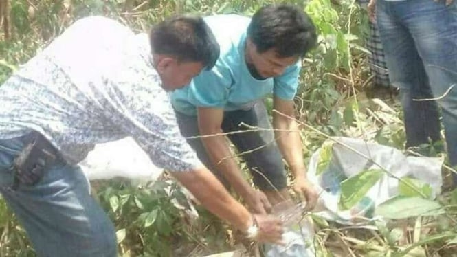 Ribuan KTP ditemukan di lahan kosong di Kampung Banjarsari, Serang, Banten