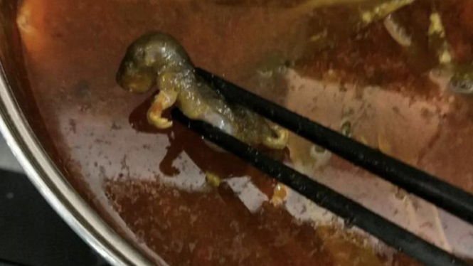 Seekor tikus mati ditemukan di dalam mangkok sup yang disajikan sebuah restoran di Cina. - Weibo