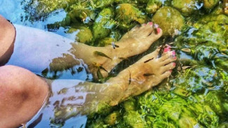 Tragis, Spa Ikan Bikin Wanita Ini Kehilangan Jari Kakinya