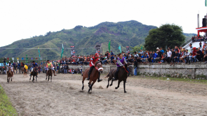 Perlombaan pacuan kuda tradisional Gayo di Takengon, Aceh Tengah.