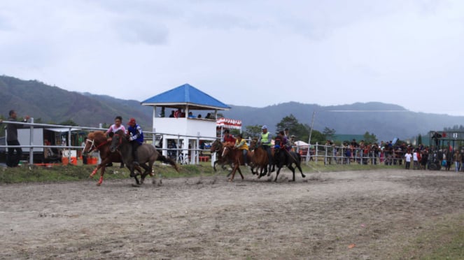 Perlombaan pacuan kuda tradisional Gayo di Takengon, Aceh Tengah.