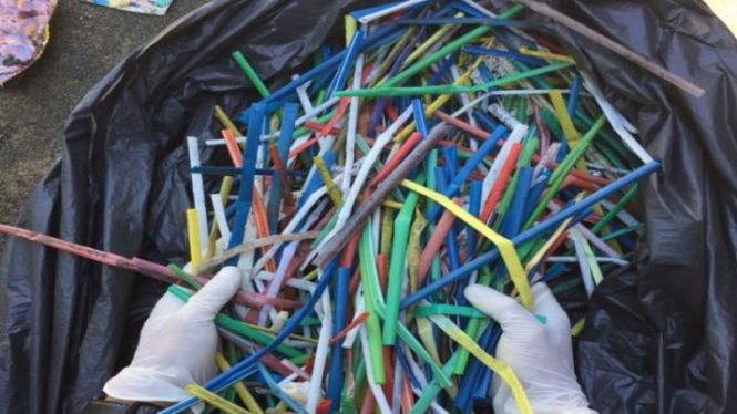 Ocean Conservancy menyebut sampah sedotan plastik sekali pakai merupakan satu dari 10 jenis sampah yang paling sering ditemukan di pantai dan lautan dunia setelah kantong plastik kemasan dan beberapa jenis sampah lainnya.Â 