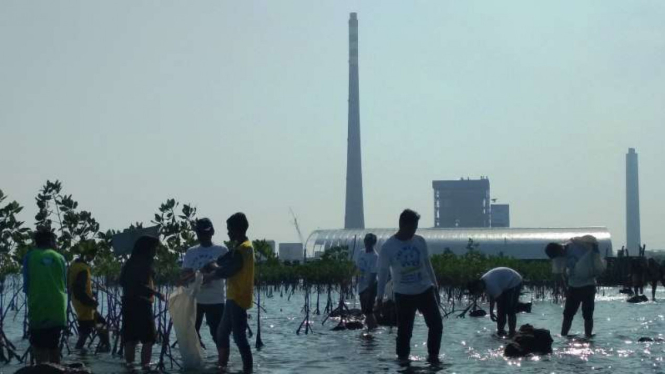 Para siswa aksi bersih-bersih pantai dalam acara CCU di pantai dekat PLTU Paiton