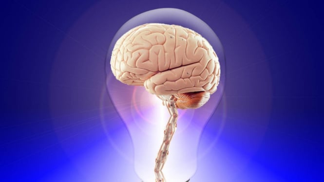 Ilustrasi otak manusia