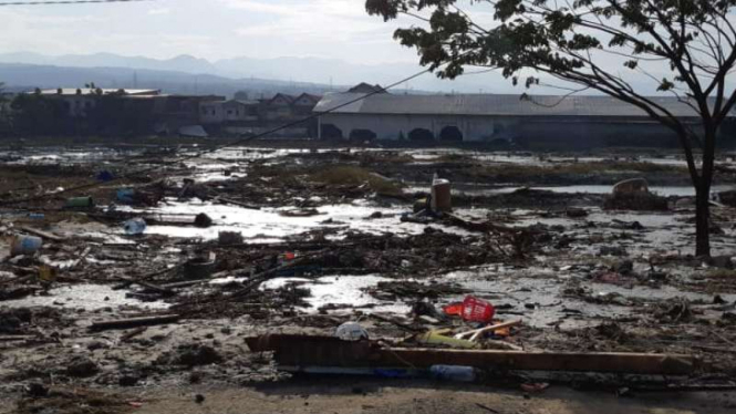 Bnpb Tinggi Tsunami Di Palu Capai 6 Meter