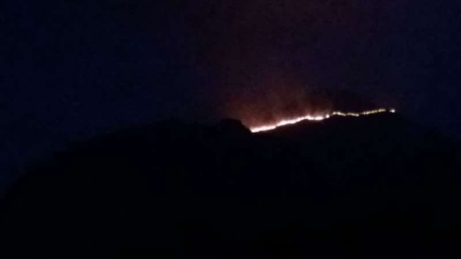 Kebakaran di lereng gunung di Jawa Timur. 