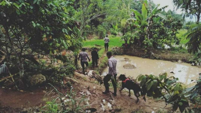 Anjing pelacak diturunkan cari korban banjir bandang di Sumbar