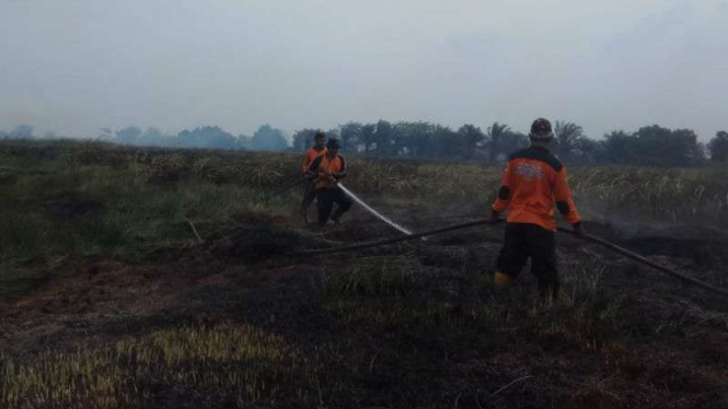 Aparat BPBD berusaha memadamkan kebakaran hutan dan lahan di Sumatera Selatan.