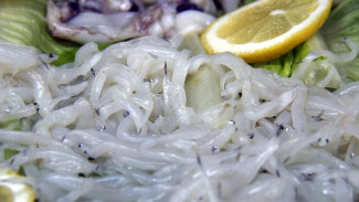 Sempat Jadi Pakan Ternak, Angula Kini Dijual Rp17,4 Juta per Kilogram