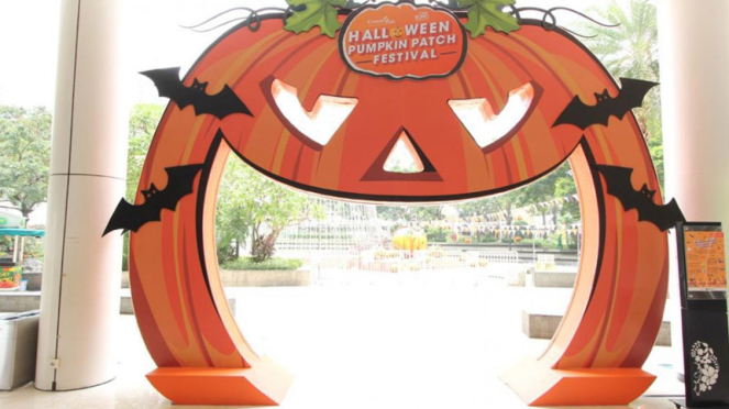 Halloween Pumpkin Patch Festival 