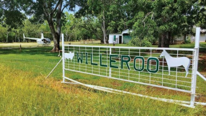 Willeroo Station dijual oleh perusahaan Indonesian Great Giant Livestock.