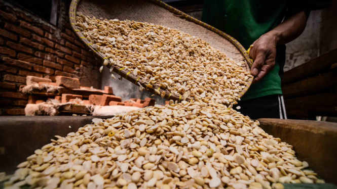 Pekerja mengeringkan biji kedelai untuk dijadikan tempe di rumah produksi tempe arema, Bandung, Jawa Barat
