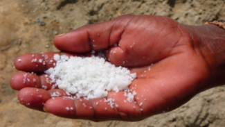 Terapi Garam Laut Bisa Atasi Prosiaris dan Dermatitis Ringan