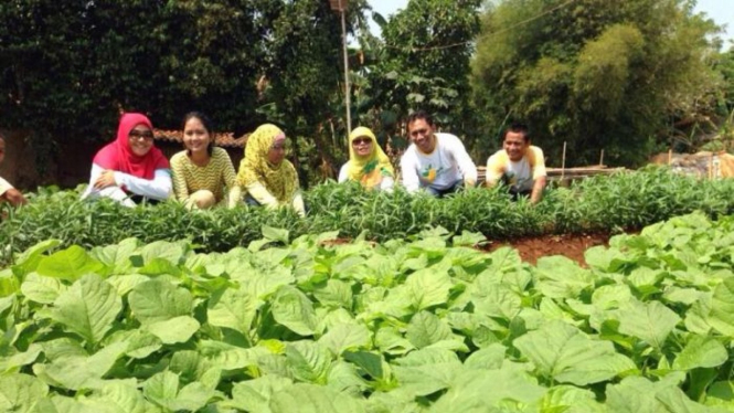 Bertani di perkotaan atau urban farming