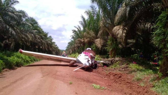 Kecelakaan pesawat tunggal di kebun Sawit, kabupaten Ketapang, Kalbar.