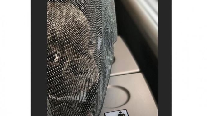 Patterson menyelundupkan anjingnya ke kabin pesawat dalam tas. - Instagram/Lamar Patterson