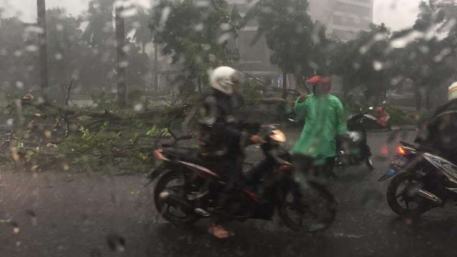 Pohon tumbang di sekitar Dukuh Atas