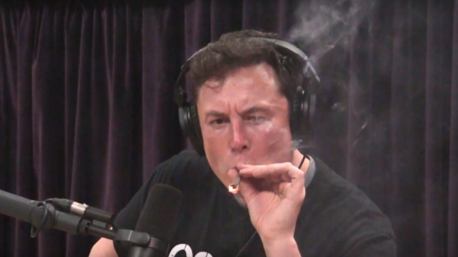 CEO SpaceX, Elon Musk mengisap ganja.