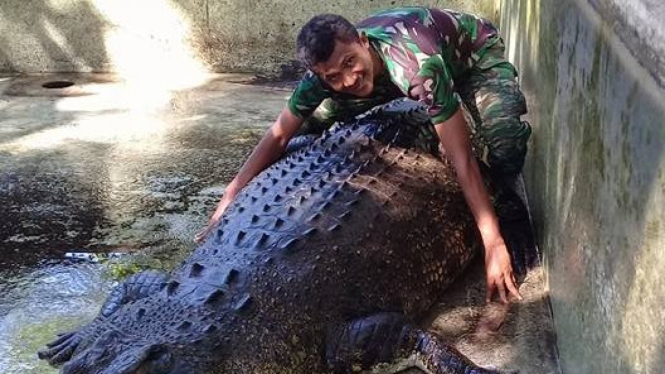 Seorang tentara Timor Leste dengan seekor buaya yang ditangkap di sana.