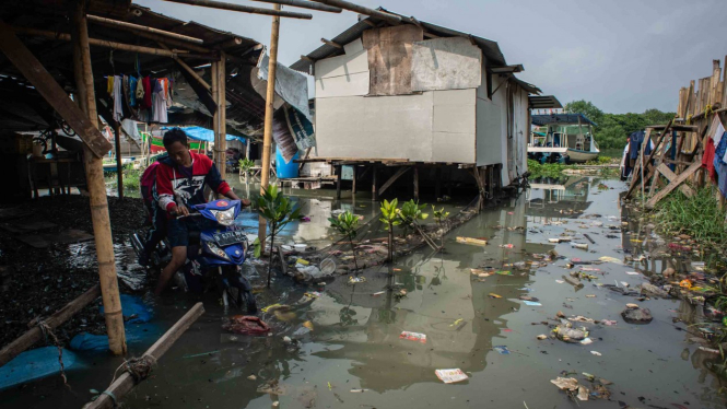 Warga melintasi banjir rob yang menggenang di Kampung Nelayan Muara Angke, Penjaringan, Jakarta, Senin, 26 November 2018.