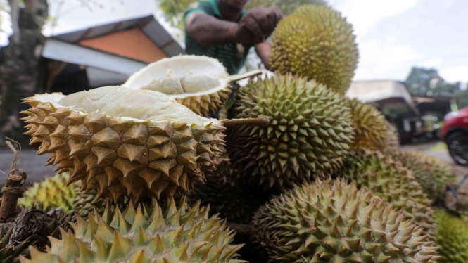 Pedagang menjajakan durian di Lam Ateuk, Aceh Besar, Aceh.