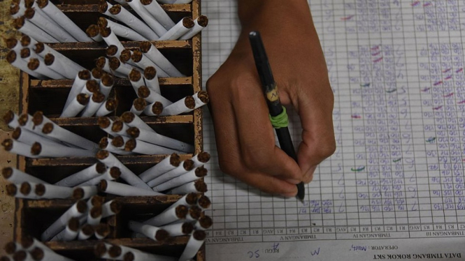 Seorang pekerja sedang menghitung produksi rokok di pabrik di Surabaya, Jawa Timur. - Barcroft Media via Getty Images