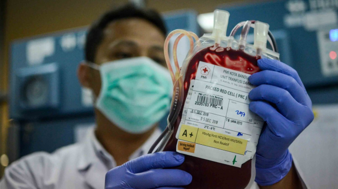 Petugas Palang Merah Indonesia (PMI) memeriksa kantong darah di laboratorium Kantor PMI Kota Bandung, Jawa Barat