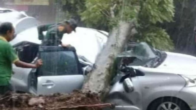 Pohon tumbang menimpa mobil milik warga di Bogor, Jawa Barat.