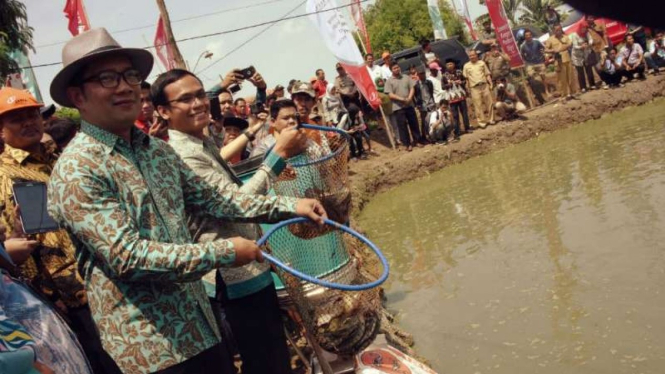 Gubernur Jawa Barat Ridwan Kamil saat meluncurkan program Desa Digital di Losarang, Kabupaten Indramayu, Senin, 10 Desember 2018.