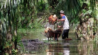  Coba Kalau Tumbuh di Eropa, AS Pasti Tak Dipersoalkan