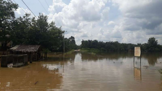 Area perkebunan di sekitar permukiman warga tergenang akibat air luapan Sungai Batanghari di Kabupaten Batanghari, Jambi, Rabu, 12 Desember 2018.