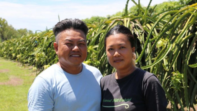 Petani buah naga di Australia utara Vuong dan Lisa Nguien menunda perluasan kebun mereka setelah dibolehkannya impor buah ini dari Indonesia dan Vietnam.