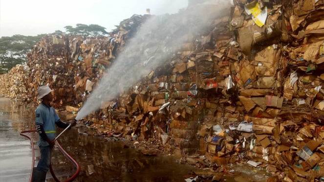 La producción de papel industrial aumentará