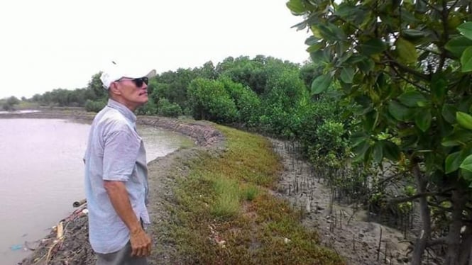 Ratusan Hektare hutan bakau di Jambi rusak