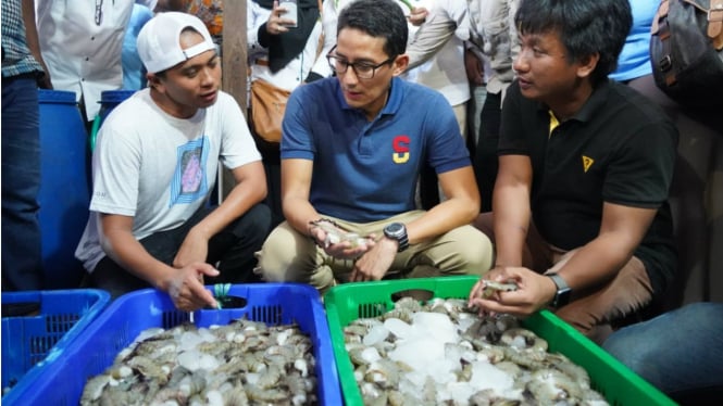 Cawapres nomor urut 02 Sandiaga Uno kampanye di Tarakan