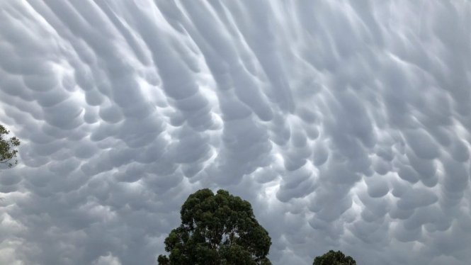 Awan payudara atau mammatus.