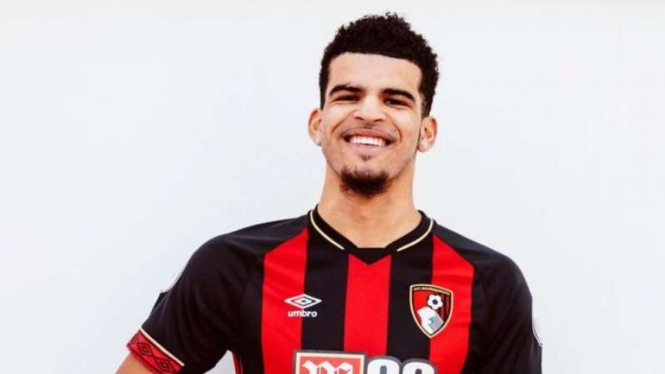 Penyerang anyar AFC Bournemouth, Dominic Solanke.