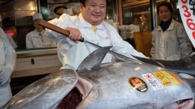 Ikan tuna seharga Rp42,4 miliar.