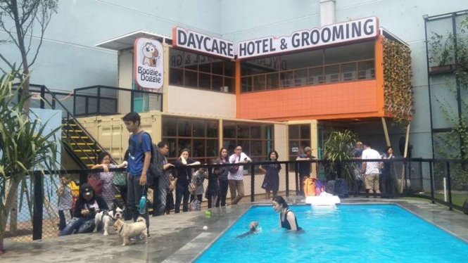 Daycare, hotel dan Grooming khusus Anjing
