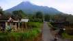 Photo Mini 1