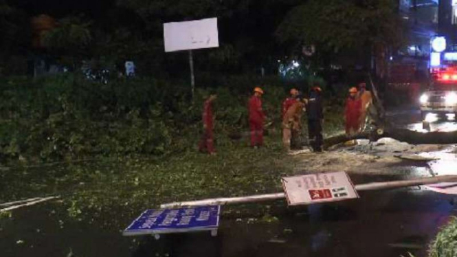 Pohon dan Marka Jalan Ambruk akibat Hujan Deras di Depok.