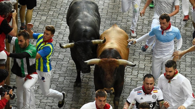 Arab Saudi berencana menggelar festival lari dikejar banteng ala Festival San Fermin di Pamplona, tapi tidak memberi rincian soal rencana tersebut. - AFP