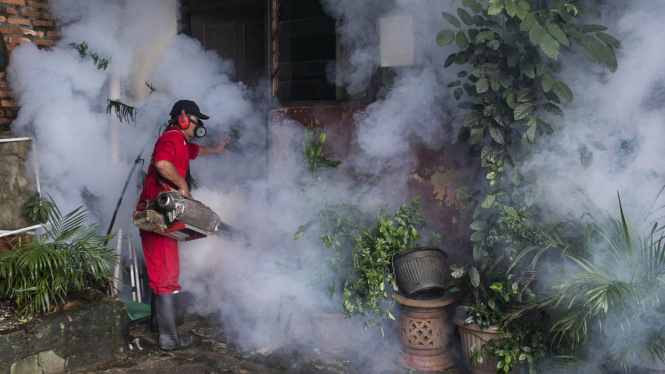 Jakarta Waspada Demam Berdarah Dengue