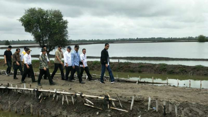 Jokowi ke tambak Muara Gembong, Bekasi.