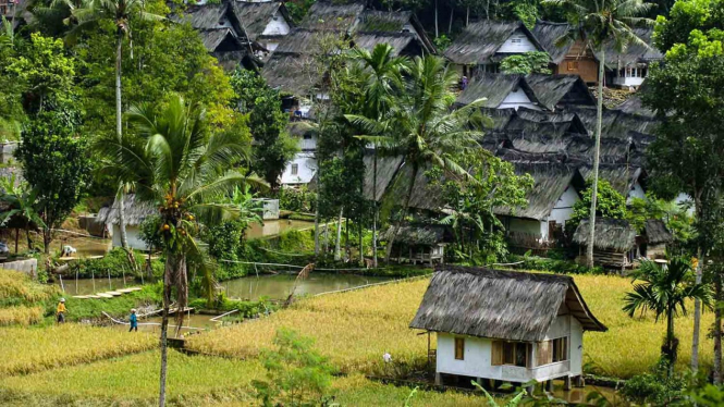 Tradisi Panen Padi Warga Kampung Naga Tasikmalaya 