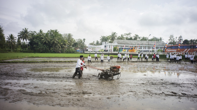Kabupaten Sukabumi yang merupakan lambing produksi padi di Jawa Barat. 