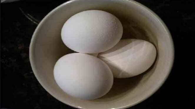 Ilustrasi telur.