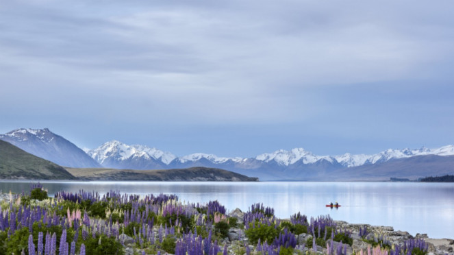 Danau Tekapo, Selandia Baru.